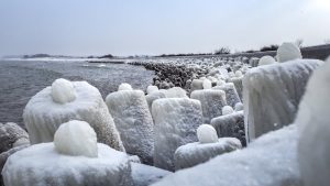 Frozen breakwater structures covered in ice and snow along the Baltic Sea coast during winter.